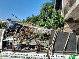 Best Carpet Removal and Disposal  in Lagrange, GA